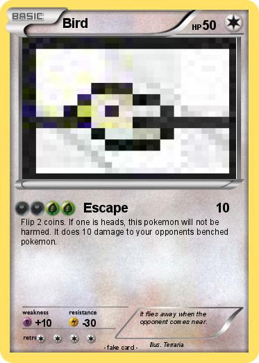 Pokemon Bird