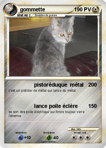 Pokemon gommette