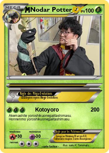 Pokemon Nodar Potter