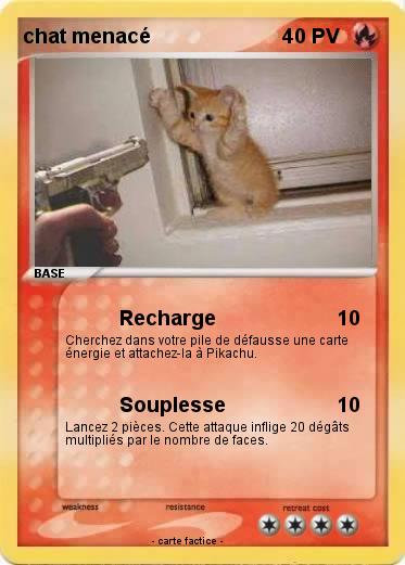 Pokemon chat menacé