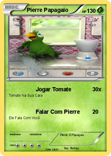 Pokemon Pierre Papagaio