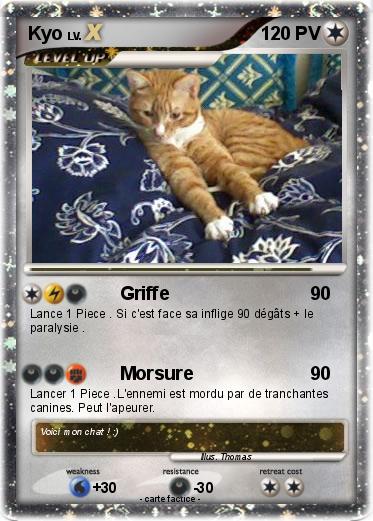 Pokemon Kyo