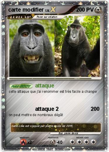 Pokemon carte modifier