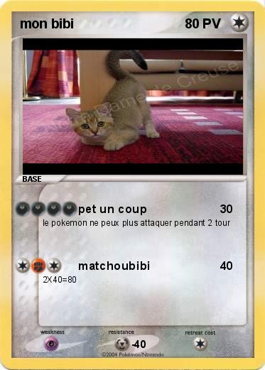 Pokemon mon bibi