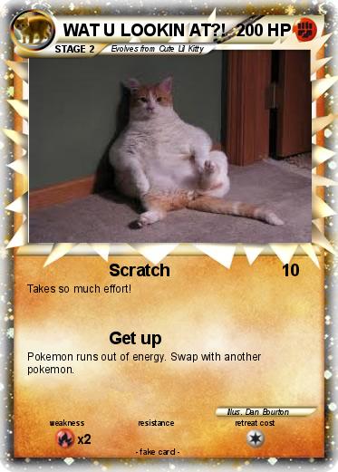 Pokemon WAT U LOOKIN AT?!