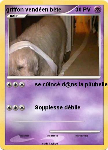 Pokemon griffon vendéen bête