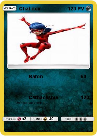 Pokemon Chat noir