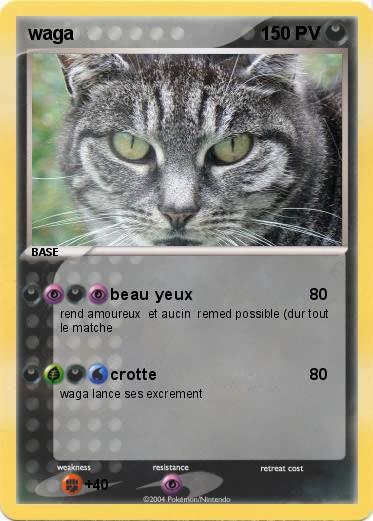 Pokemon waga