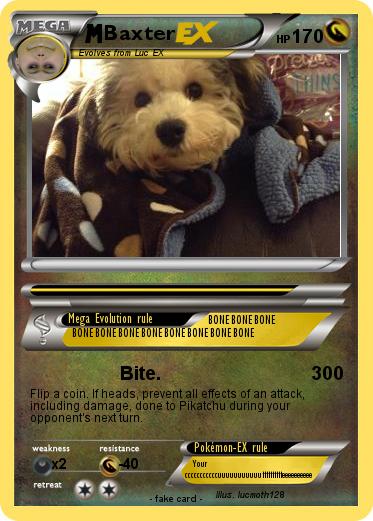 Pokemon Baxter