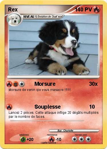Pokemon Rex