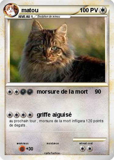 Pokemon matou