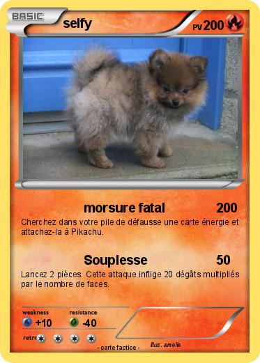 Pokemon selfy