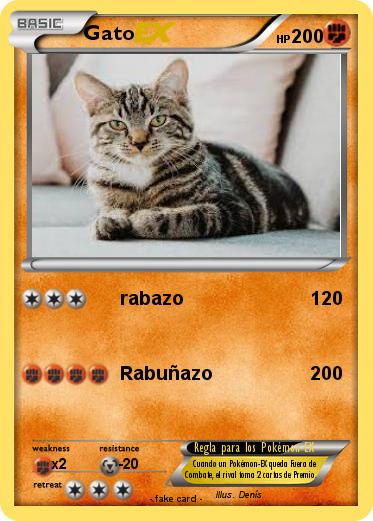 Pokemon Gato