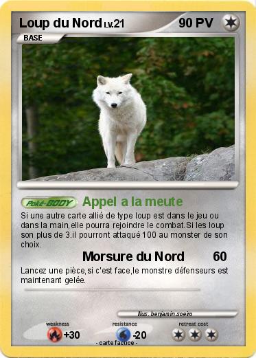 Pokemon Loup du Nord