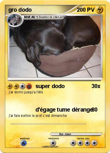 Pokemon gro dodo