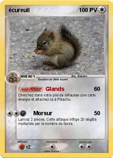 Pokemon écureuil