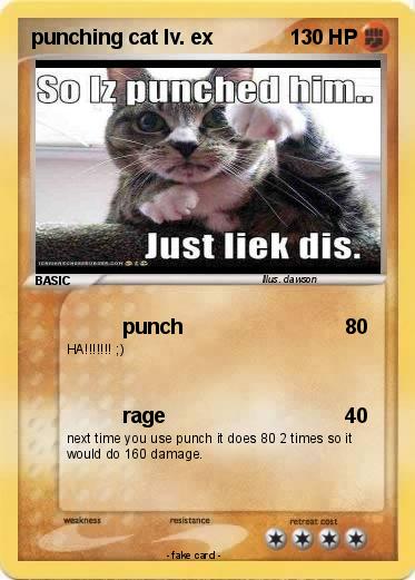 Pokemon punching cat lv. ex