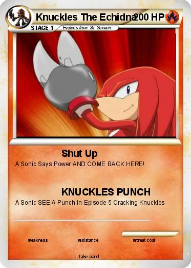 Pokemon Knuckles The Echidna