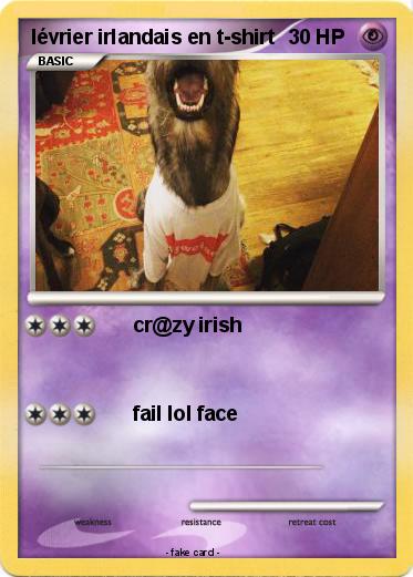Pokemon lévrier irlandais en t-shirt