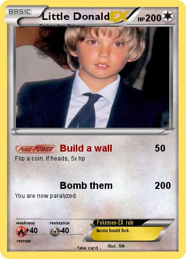 Pokemon Little Donald