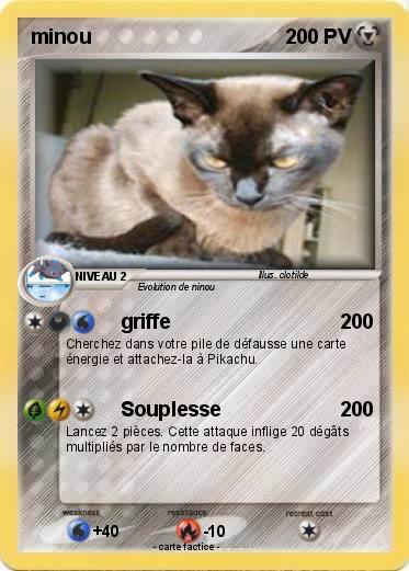 Pokemon minou