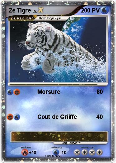 Pokemon Ze Tigre