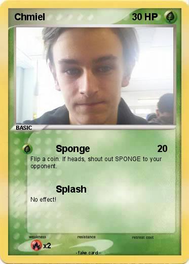 Pokemon Chmiel