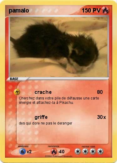 Pokemon pamalo