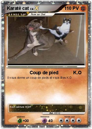 Pokemon Karaté cat