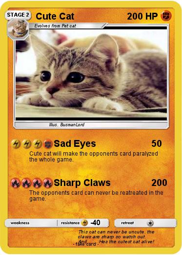 Pokemon Cute Cat