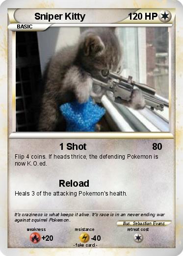 Pokemon Sniper Kitty