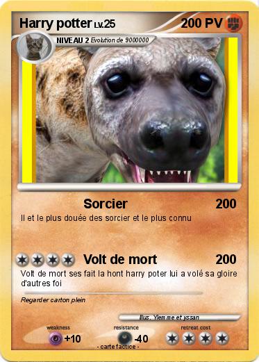 Pokemon Harry potter