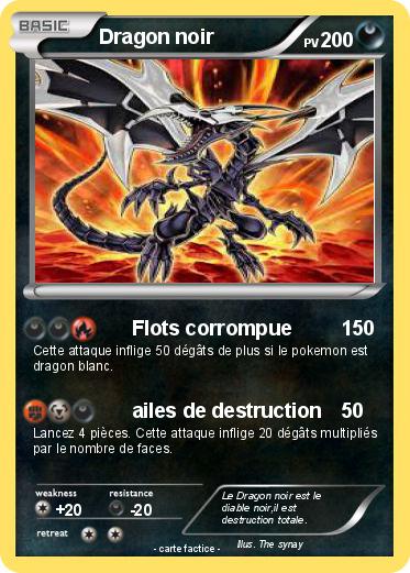 Pokemon Dragon noir