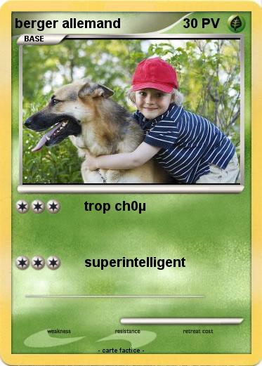 Pokemon berger allemand