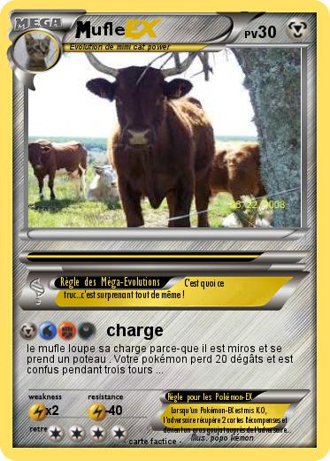Pokemon ufle