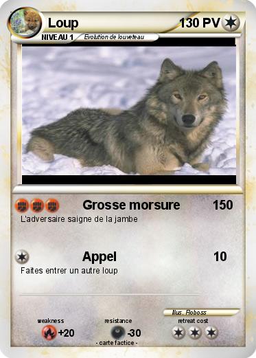 Pokemon Loup