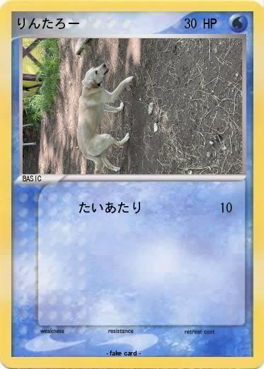 Pokemon りんたろー