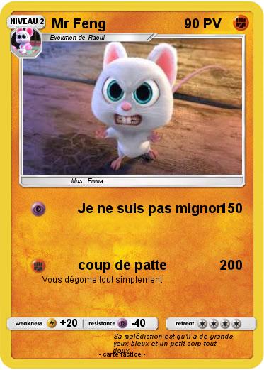 Pokemon Mr Feng