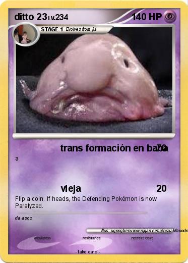 Pokemon ditto 23
