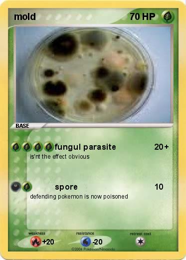 Pokemon mold