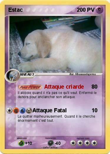 Pokemon Estac
