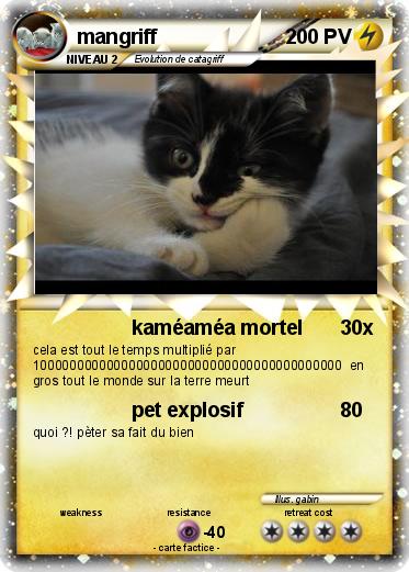Pokemon mangriff