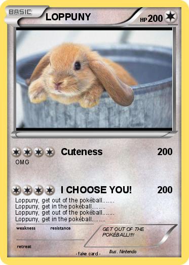 Pokemon LOPPUNY