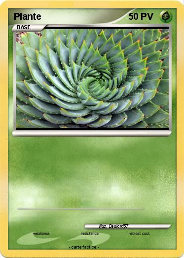 Pokemon Plante