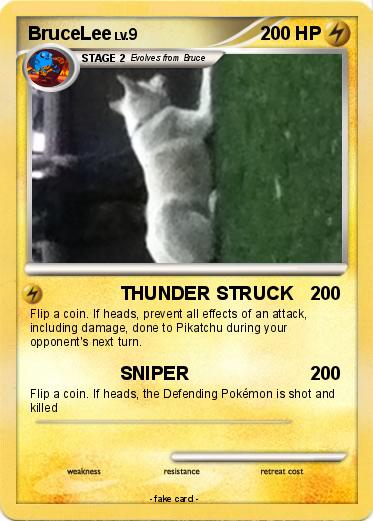 Pokemon BruceLee