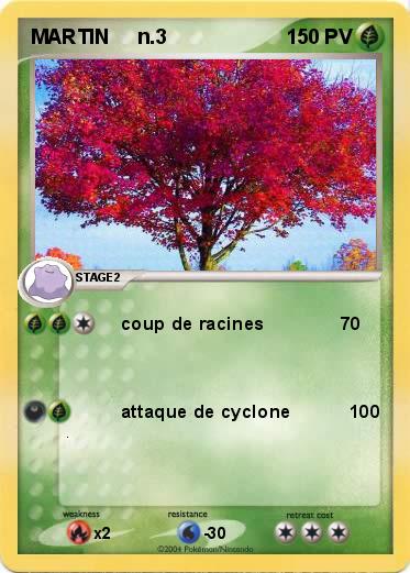 Pokemon MARTIN     n.3