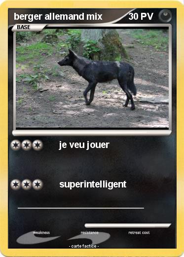 Pokemon berger allemand mix
