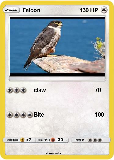 Pokemon Falcon