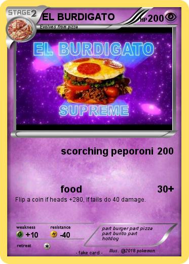 Pokemon EL BURDIGATO