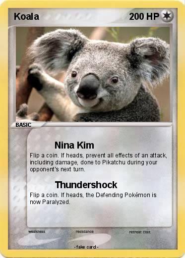 Pokemon Koala